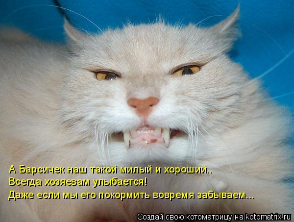 А Барсичек наш такой милый и хороший.. Всегда хозяевам улыбается! Даже если мы его покормить вовремя ... Котоматрица: А Барсичек наш такой милый и хороший.. Всегда хозяевам улыбается! Даже если мы его покормить вовремя забываем...