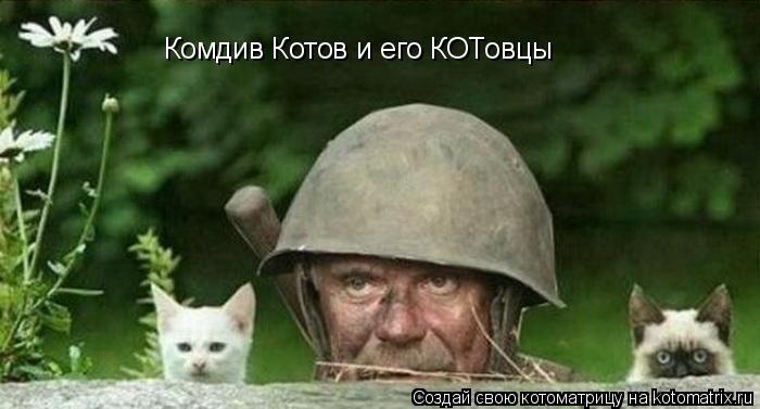 Комдив Котов и его КОТовцы... Котоматрица: Комдив Котов и его КОТовцы