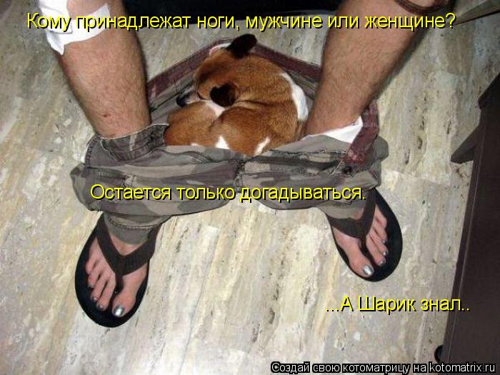 Кому принадлежат ноги, мужчине или женщине? Остается только догадываться. ...А Шарик знал..... Котоматрица: Кому принадлежат ноги, мужчине или женщине? Остается только догадываться. ...А Шарик знал..