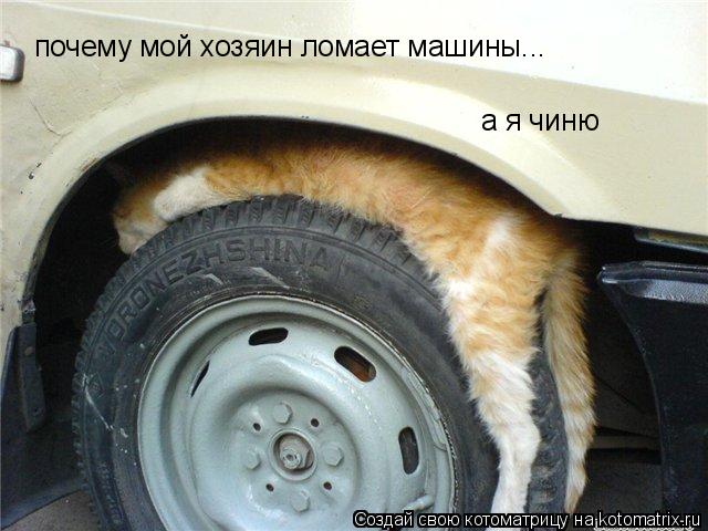 почему мой хозяин ломает машины... а я чиню... Котоматрица: почему мой хозяин ломает машины... а я чиню