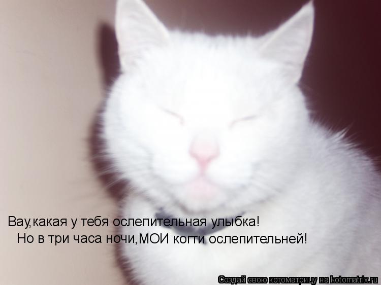 Вау,какая у тебя ослепительная улыбка! Но в три часа ночи, МОИ когти ослепительней!... Котоматрица: Вау,какая у тебя ослепительная улыбка! Но в три часа ночи, МОИ когти ослепительней!