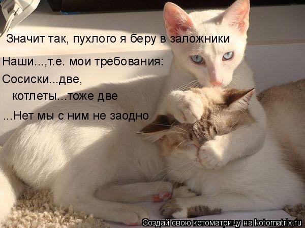 Значит так, пухлого я беру в заложники Наши...,т.е. мои требования: Сосиски...две, котлеты...тоже дв... Котоматрица: Значит так, пухлого я беру в заложники Наши...,т.е. мои требования: Сосиски...две, котлеты...тоже две ...Нет мы с ним не заодно