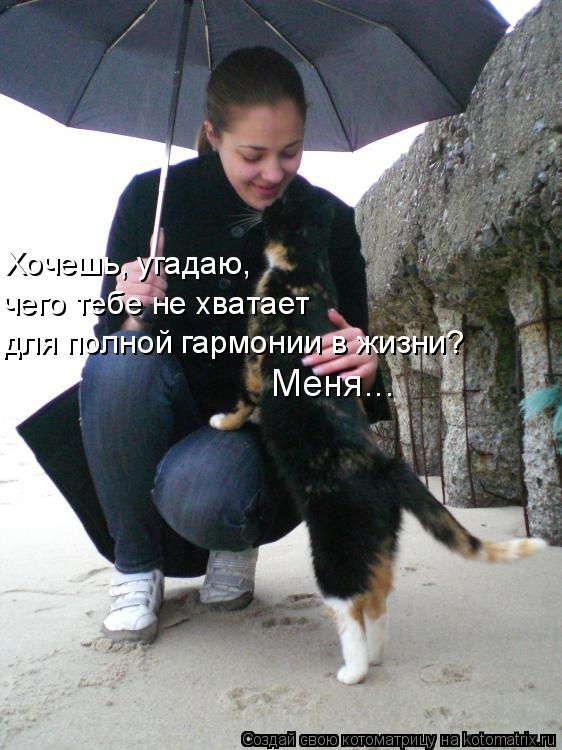 Хочешь, угадаю, чего тебе не хватает для полной гармонии в жизни? Меня...... Котоматрица: Хочешь, угадаю, чего тебе не хватает для полной гармонии в жизни? Меня...