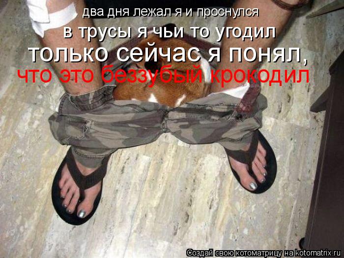 два дня лежал я и проснулся в трусы я чьи то угодил только сейчас я понял, что это беззубый крокодил... Котоматрица: два дня лежал я и проснулся в трусы я чьи то угодил только сейчас я понял, что это беззубый крокодил