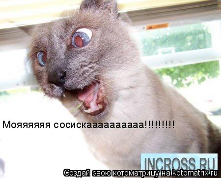 Мояяяяяя сосискаааааааааа!!!!!!!!!... Котоматрица: Мояяяяяя сосискаааааааааа!!!!!!!!!