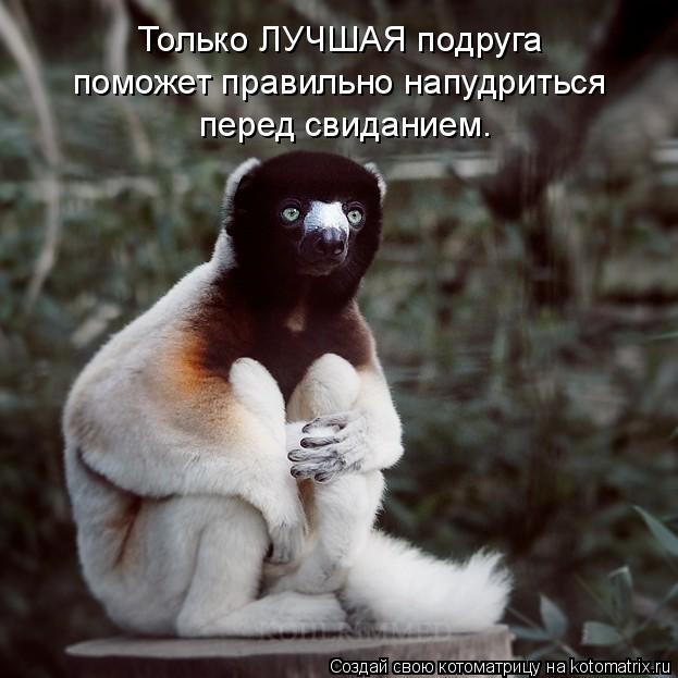 http://kotomatrix.ru/images/lolz/2010/05/26/584284.jpg