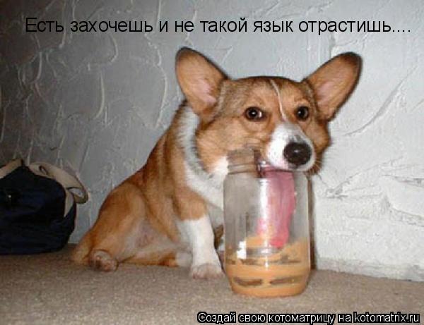 Есть захочешь и не такой язык отрастишь....... Котоматрица: Есть захочешь и не такой язык отрастишь....