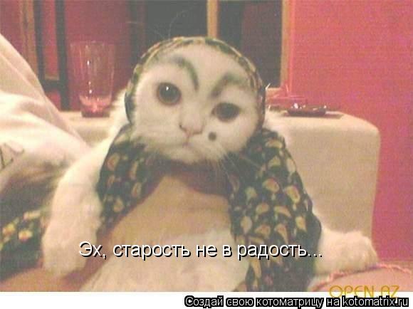 Эх, старость не в радость...... Котоматрица: Эх, старость не в радость...