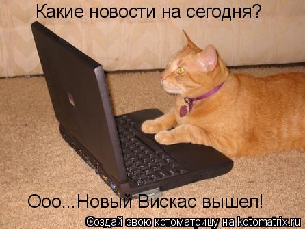 Какие новости на сегодня? Ооо...Новый Вискас вышел!... Котоматрица: Какие новости на сегодня? Ооо...Новый Вискас вышел!
