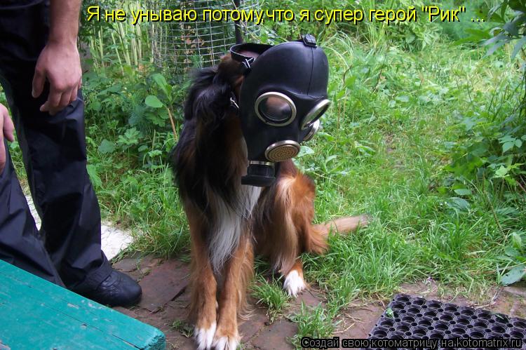 Я не унываю потому,что я супер герой "Рик" ...... Котоматрица: Я не унываю потому,что я супер герой "Рик" ...