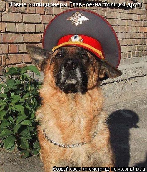 Новые милиционеры.Главное-настоящий друг!... Котоматрица: Новые милиционеры.Главное-настоящий друг!