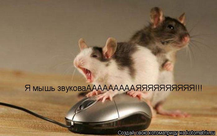 Я мышь звуковаАААААААААЯЯЯЯЯЯЯЯЯЯ!!!... Котоматрица: Я мышь звуковаАААААААААЯЯЯЯЯЯЯЯЯЯ!!!