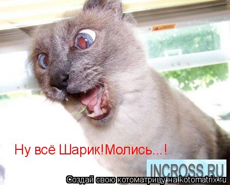 Ну всё Шарик!Молись...!... Котоматрица: Ну всё Шарик!Молись...!