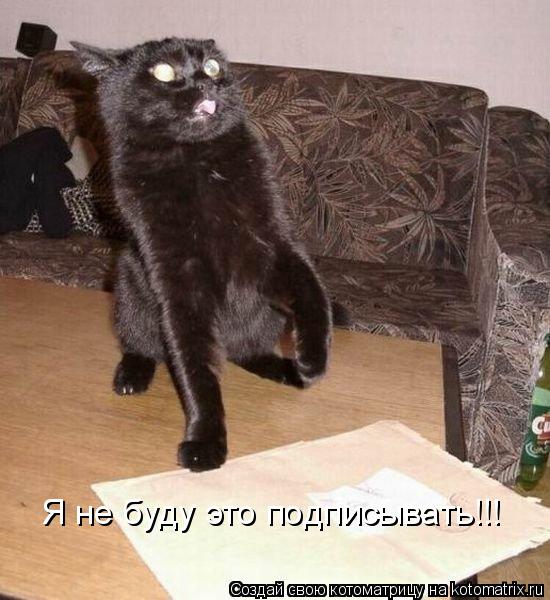 Я не буду это подписывать!!!... Котоматрица: Я не буду это подписывать!!!