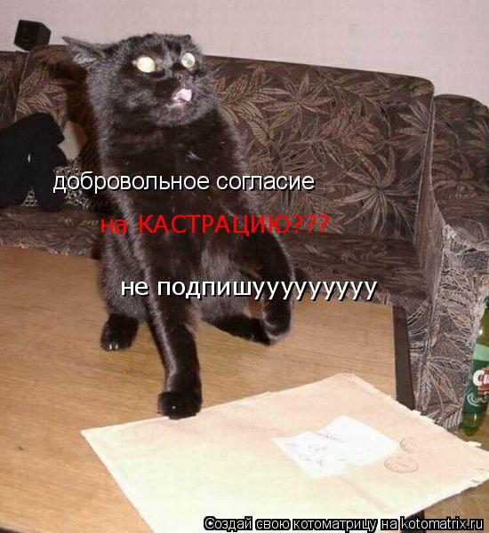 добровольное согласие на КАСТРАЦИЮ??? не подпишууууууууу... Котоматрица: добровольное согласие на КАСТРАЦИЮ??? не подпишууууууууу