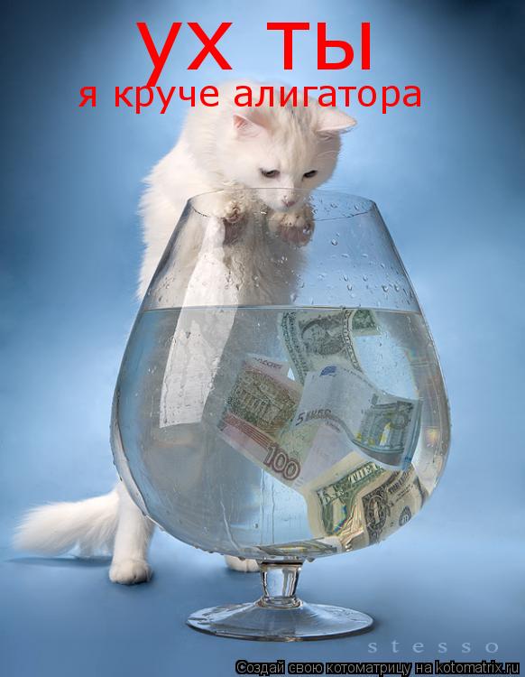 ух ты я круче алигатора... Котоматрица: ух ты я круче алигатора