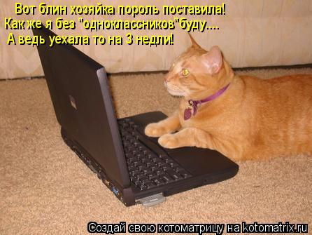 Вот блин хозяйка пороль поставила! Как же я без "одноклассников"буду.... А ведь уехала то на 3 недли!... Котоматрица: Вот блин хозяйка пороль поставила! Как же я без "одноклассников"буду.... А ведь уехала то на 3 недли!