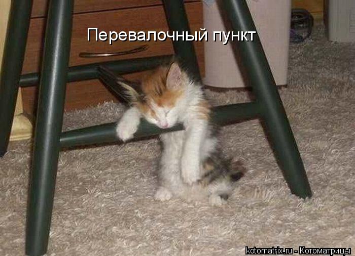 Перевалочный пункт... Котоматрица: Перевалочный пункт