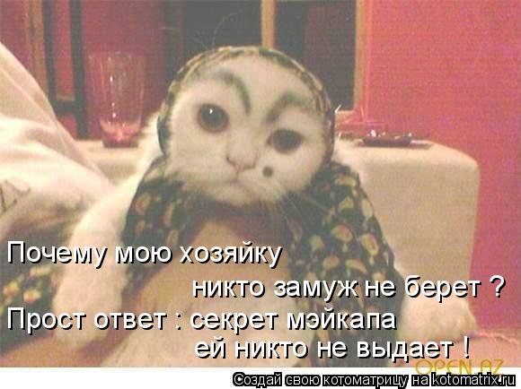 Почему мою хозяйку никто замуж не берет ? Прост ответ : секрет мэйкапа ей никто не выдает !... Котоматрица: Почему мою хозяйку никто замуж не берет ? Прост ответ : секрет мэйкапа ей никто не выдает !