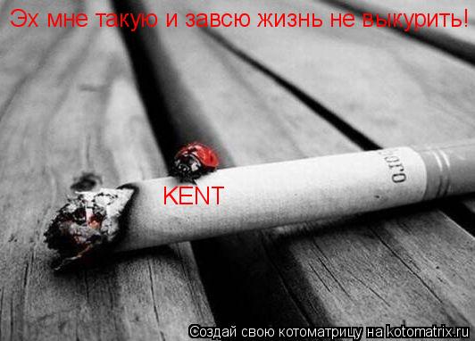 Эх мне такую и завсю жизнь не выкурить! KENT... Котоматрица: Эх мне такую и завсю жизнь не выкурить! KENT