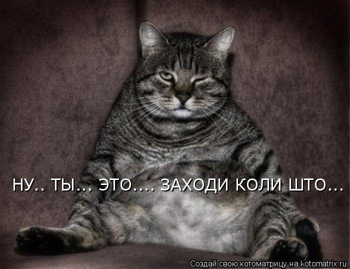 НУ.. ТЫ... ЭТО.... ЗАХОДИ КОЛИ ШТО...... Котоматрица: НУ.. ТЫ... ЭТО.... ЗАХОДИ КОЛИ ШТО...