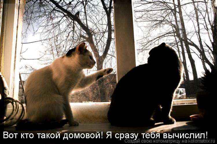 Вот кто такой домовой! Я сразу тебя вычислил!... Котоматрица: Вот кто такой домовой! Я сразу тебя вычислил!