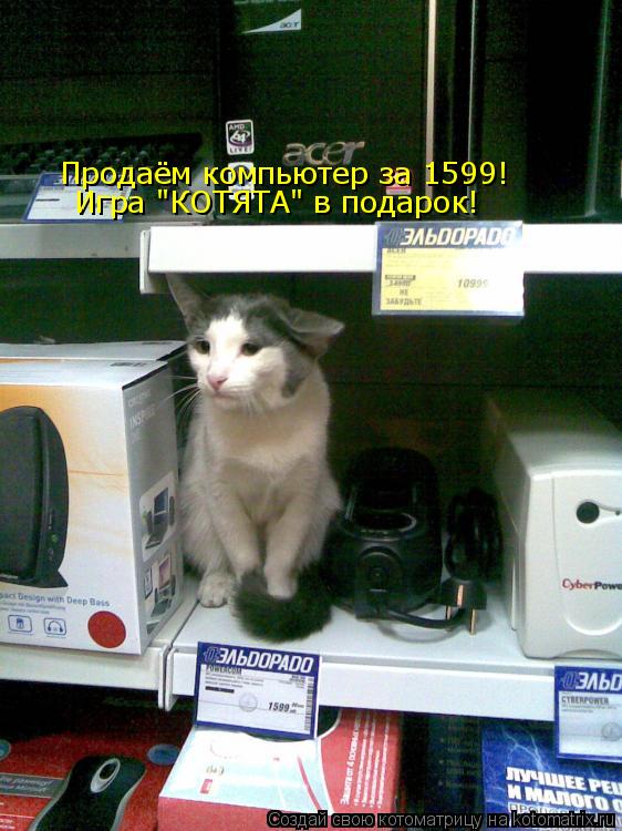 Продаём компьютер за 1599! Игра "КОТЯТА" в подарок!... Котоматрица: Продаём компьютер за 1599! Игра "КОТЯТА" в подарок!