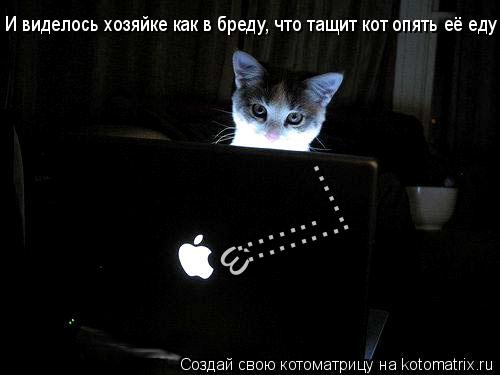 Котоматрица: &#974; ........ .......... ...... И виделось хозяйке как в бреду, что тащит кот опять её еду