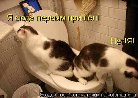 Я сюда первым пришёл! Нет!Я!... Котоматрица: Я сюда первым пришёл! Нет!Я!