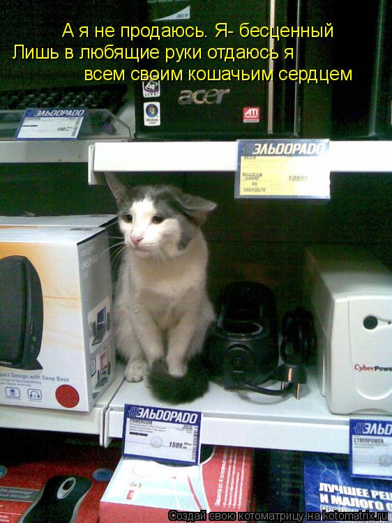 А я не продаюсь. Я- бесценный Лишь в любящие руки отдаюсь я всем своим кошачьим сердцем... Котоматрица: А я не продаюсь. Я- бесценный Лишь в любящие руки отдаюсь я всем своим кошачьим сердцем