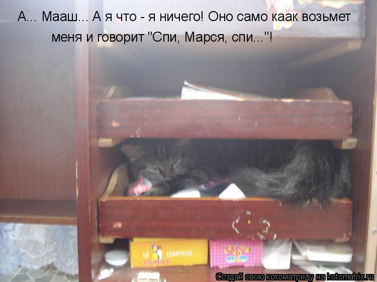 А... Мааш... А я что - я ничего! Оно само каак возьмет меня и говорит "Спи, Марся, спи..."!... Котоматрица: А... Мааш... А я что - я ничего! Оно само каак возьмет меня и говорит "Спи, Марся, спи..."!