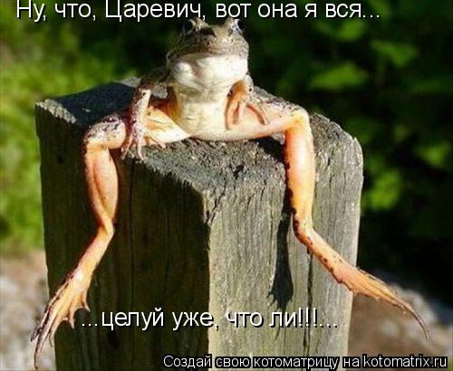 Ну, что, Царевич, вот она я вся... ...целуй уже, что ли!!!...... Котоматрица: Ну, что, Царевич, вот она я вся... ...целуй уже, что ли!!!...