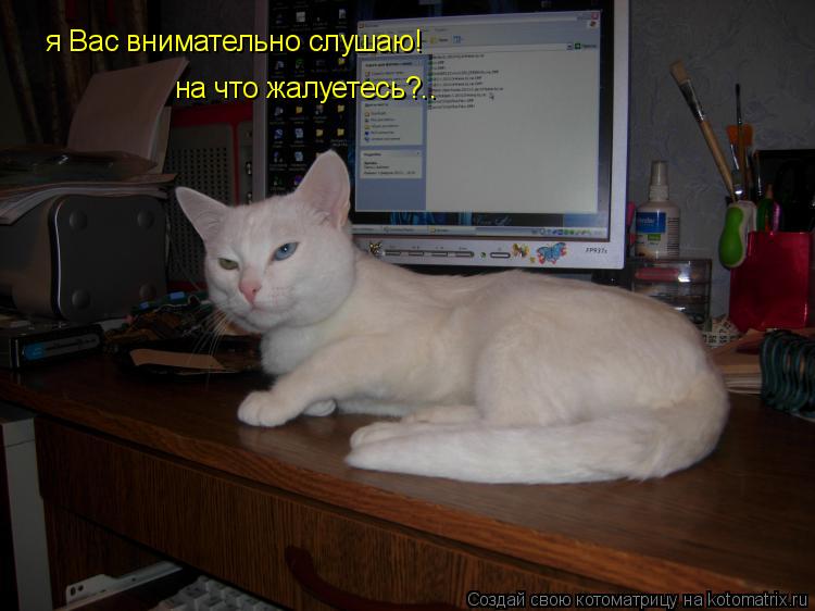 я Вас внимательно слушаю! на что жалуетесь?..... Котоматрица: я Вас внимательно слушаю! на что жалуетесь?..