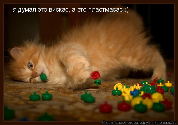 я думал это вискас, а это пластмасас :(... Котоматрица: я думал это вискас, а это пластмасас :(