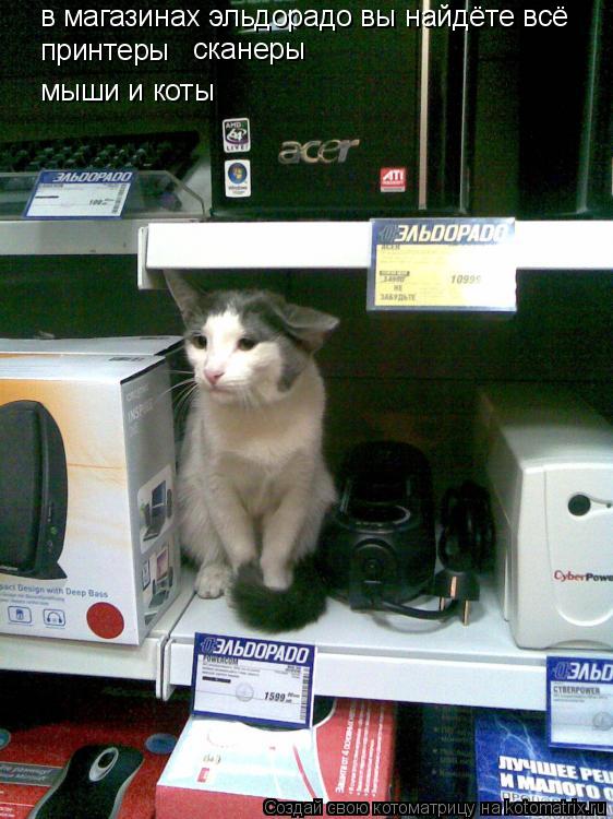 в магазинах эльдорадо вы найдёте всё принтеры сканеры мыши и коты... Котоматрица: в магазинах эльдорадо вы найдёте всё принтеры сканеры мыши и коты