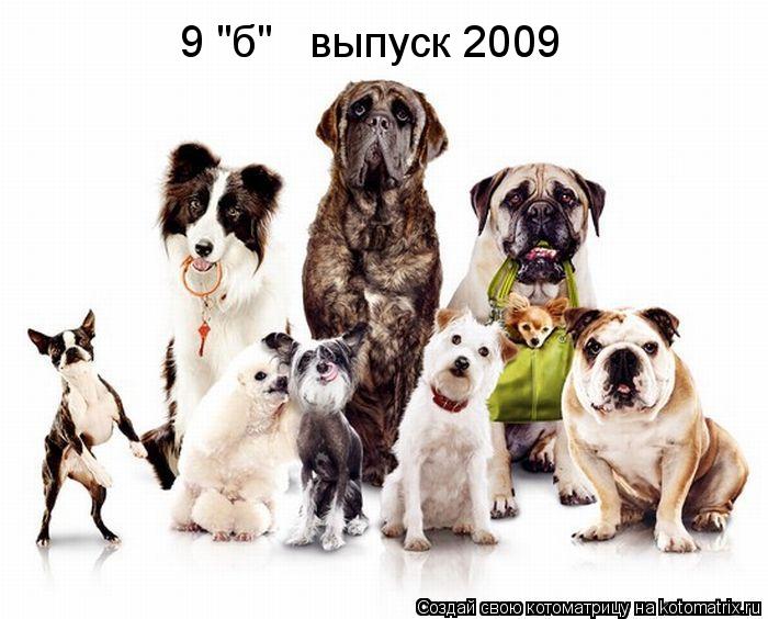 9 "б" выпуск 2009... Котоматрица: 9 "б" выпуск 2009