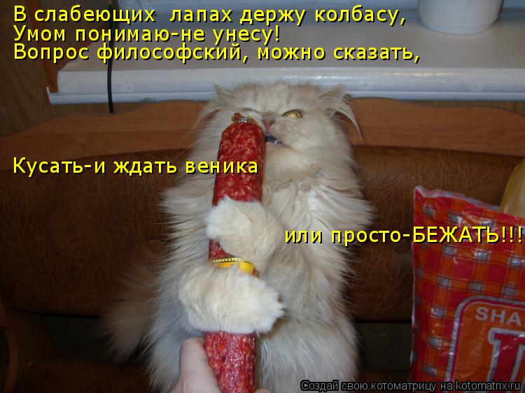 В слабеющих лапах держу колбасу, Умом понимаю-не унесу! Вопрос философский, можно сказать, Кусать-и ... Котоматрица: В слабеющих лапах держу колбасу, Умом понимаю-не унесу! Вопрос философский, можно сказать, Кусать-и ждать веника или просто-БЕЖАТЬ!!!