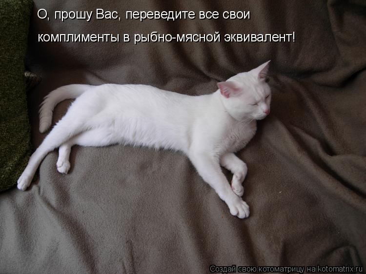 О, прошу Вас, переведите все свои комплименты в рыбно-мясной эквивалент!... Котоматрица: О, прошу Вас, переведите все свои комплименты в рыбно-мясной эквивалент!