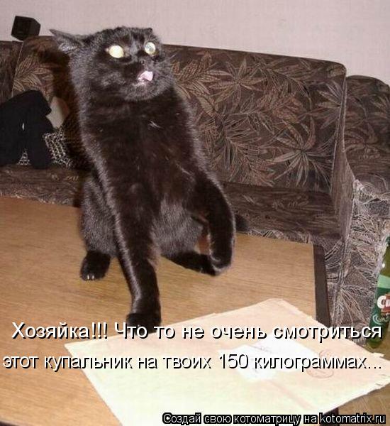 Хозяйка!!! Что то не очень смотриться этот купальник на твоих 150 килограммах...... Котоматрица: Хозяйка!!! Что то не очень смотриться этот купальник на твоих 150 килограммах...