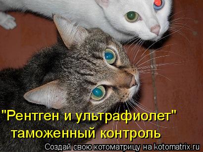 "Рентген и ультрафиолет" таможенный контроль... Котоматрица: "Рентген и ультрафиолет" таможенный контроль