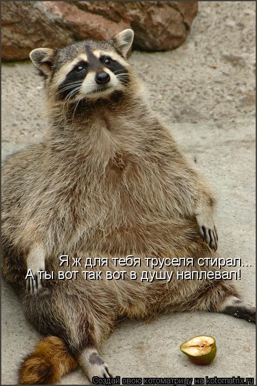Котоматрица: Я ж для тебя труселя стирал... А ты вот так вот в душу наплевал!