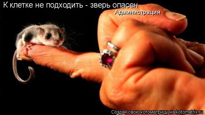 Котоматрица: К клетке не подходить - зверь опасен Администрация