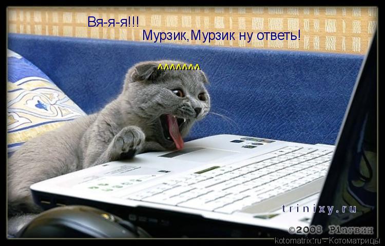 Котоматрица: Вя-я-я!!! Мурзик,Мурзик ну ответь! ^^^^^^^