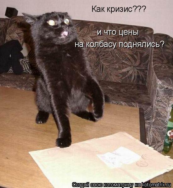 Котоматрица: Как кризис??? и что цены  на колбасу поднялись?