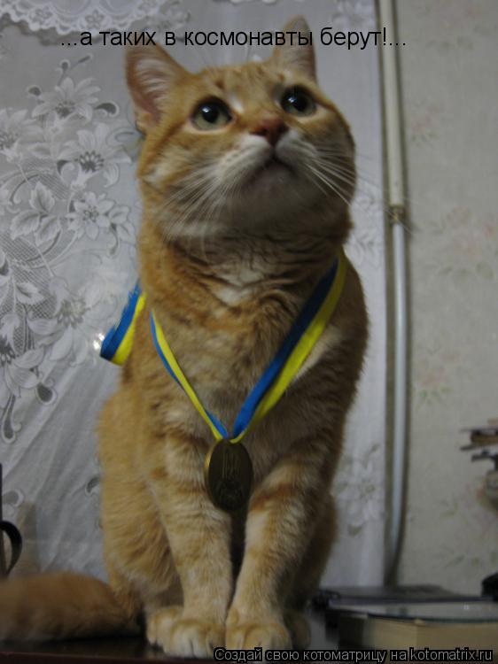 Котоматрица: ...а таких в космонавты берут!...