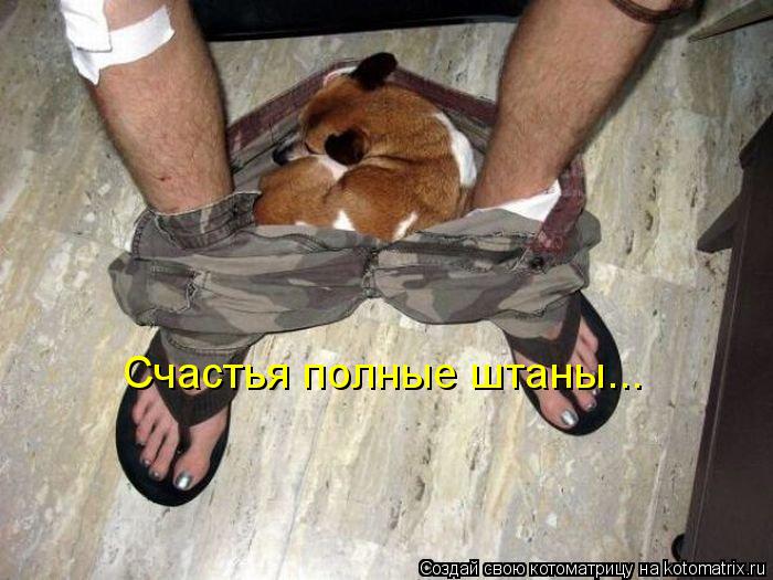 Котоматрица: Счастья полные штаны...