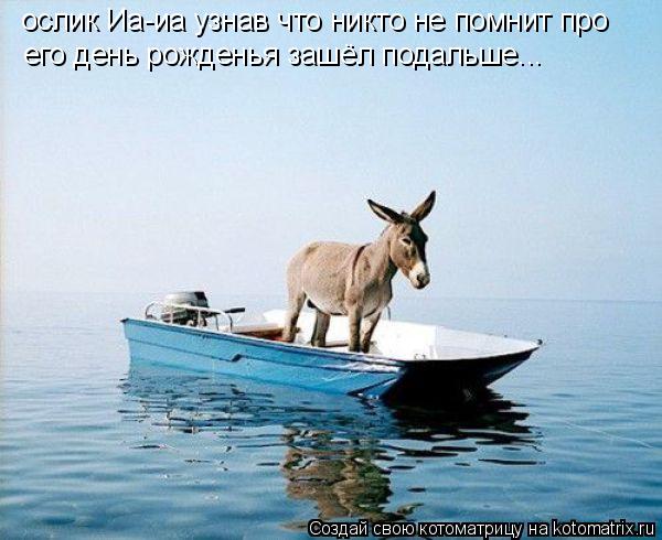 Котоматрица: ослик Иа-иа узнав что никто не помнит про его день рожденья зашёл подальше... его день рожденья зашёл подальше...