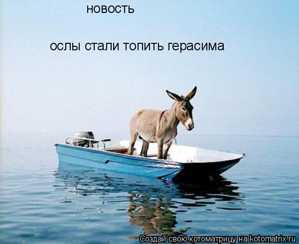 ослы стали топить герасима новость... Котоматрица: ослы стали топить герасима новость