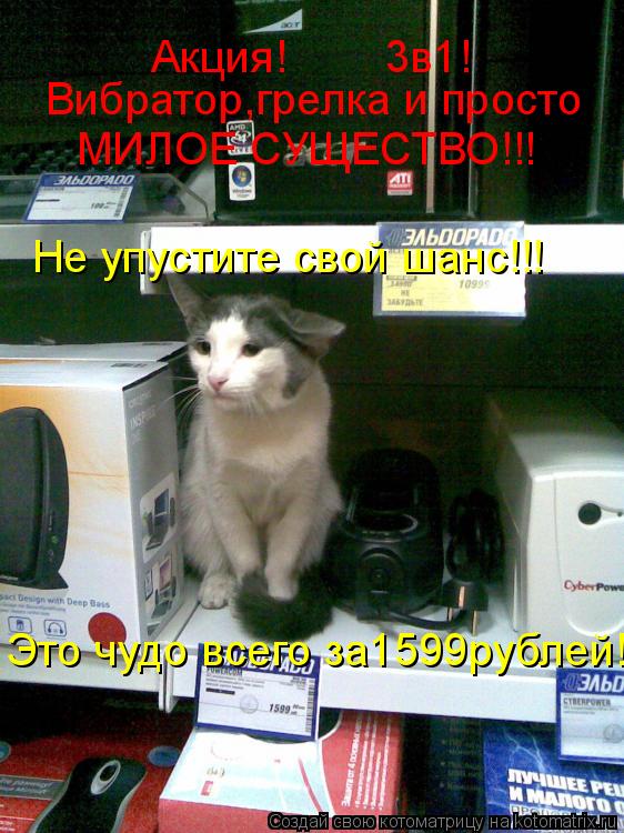 Акция! 3в1! Вибратор,грелка и просто МИЛОЕ СУЩЕСТВО!!! Это чудо всего за1599рублей! Не упустит... Котоматрица: Акция! 3в1! Вибратор,грелка и просто МИЛОЕ СУЩЕСТВО!!! Это чудо всего за1599рублей! Не упустите свой шанс!!!