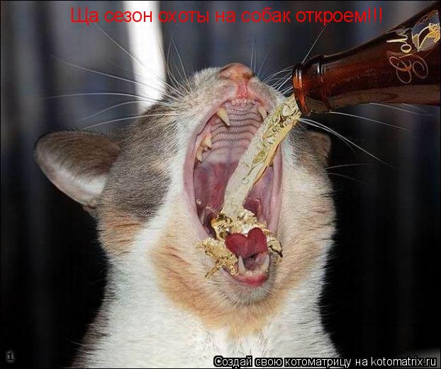 Ща сезон охоты на собак откроем!!!... Котоматрица: Ща сезон охоты на собак откроем!!!